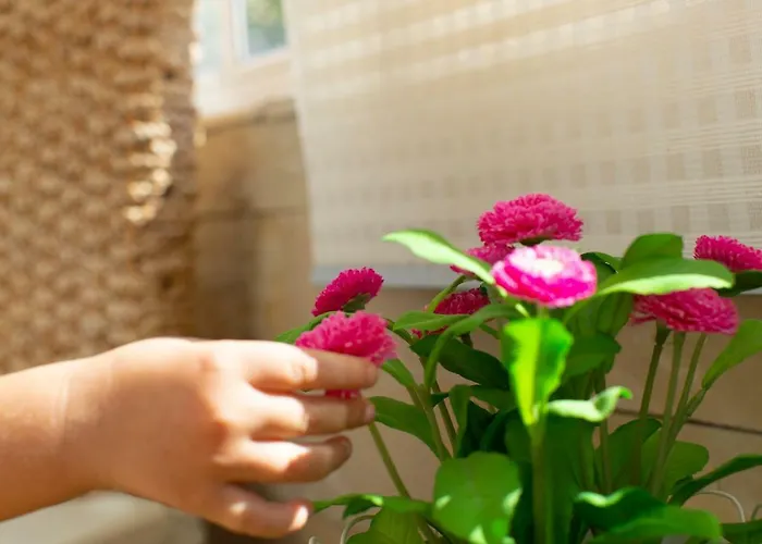 Apartment Lima Waikiki