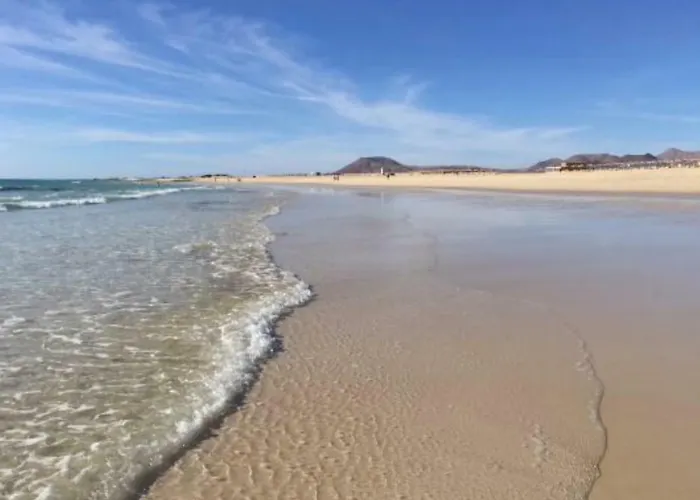 Lima Waikiki Διαμέρισμα *