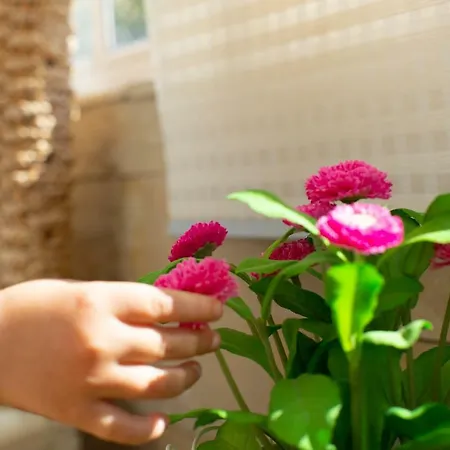 Apartment Lima Waikiki